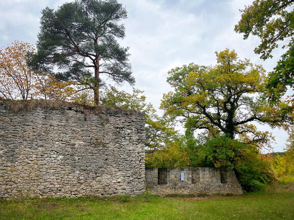 22-10-07 11-49-11 2445